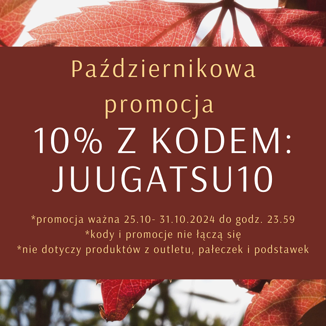 Promocja 10%